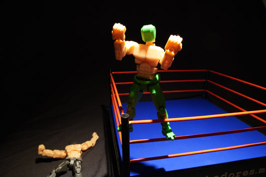 El Nopal Verde – Figura de acción Lucha Libre