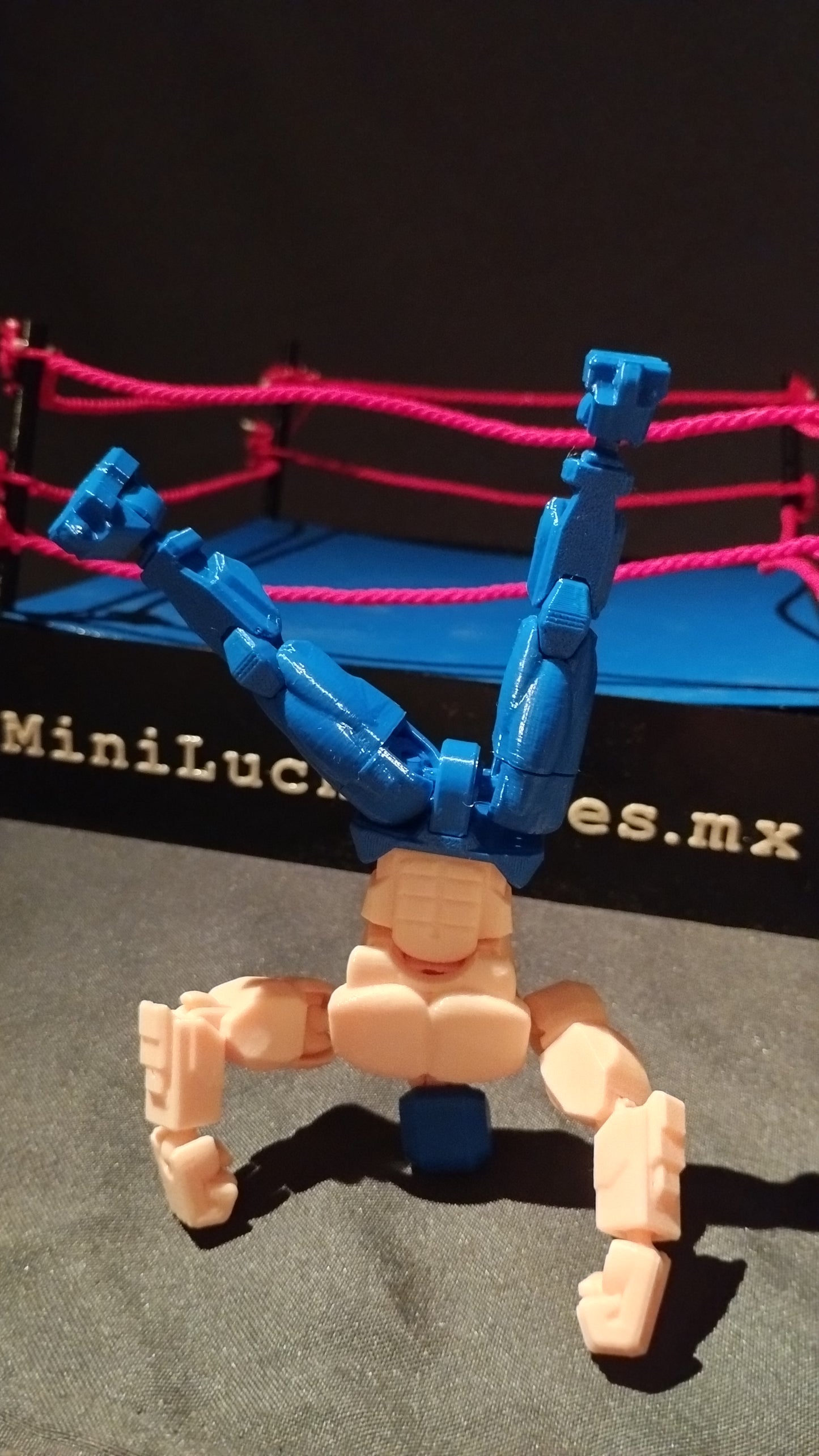 El Chaneque Azul – Figura de acción Lucha Libre