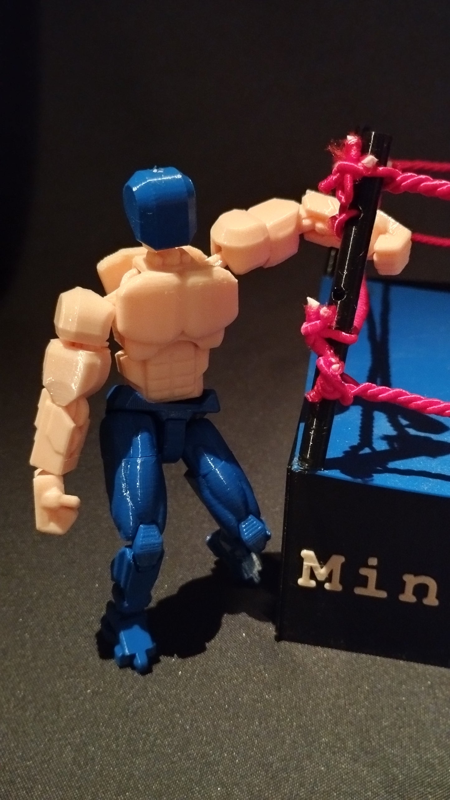 El Chaneque Azul – Figura de acción Lucha Libre